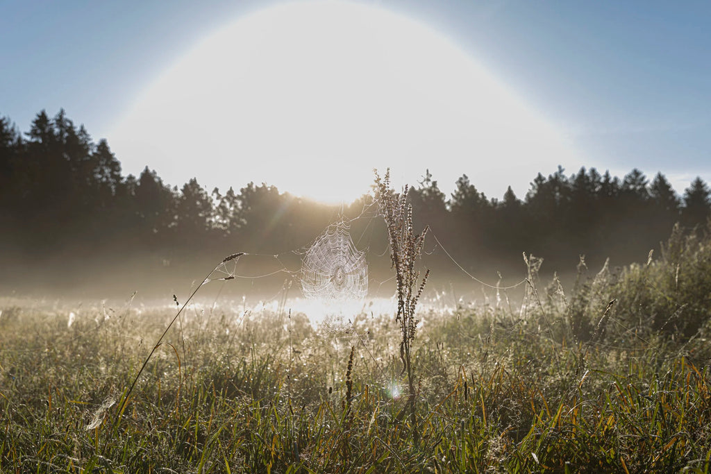 Base Camp Retreat  09. - 14. September 2026 (Portugal)