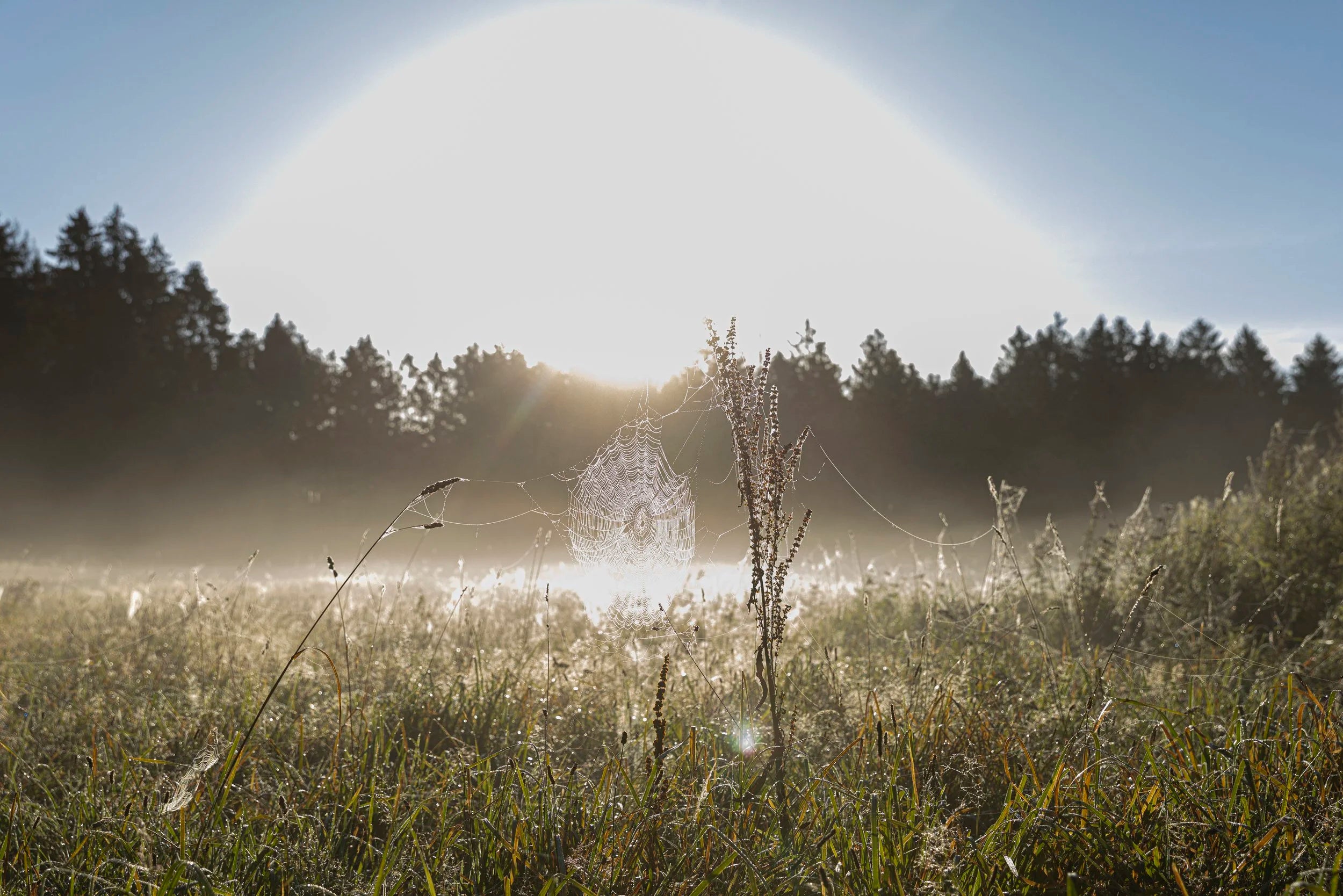 Base Camp Retreat  09. - 14. September 2026 (Portugal)