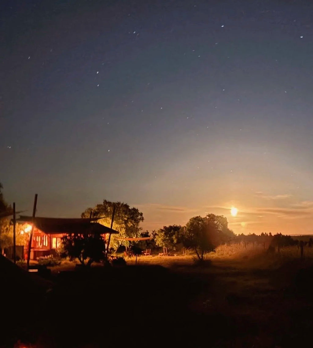 Base Camp Retreat  09. - 14. September 2026 (Portugal)